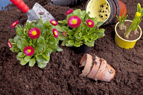Landscape gardening in New Eltham with a modern patio and planting