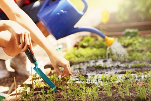 Customer complaint process for gardening service with clear review steps
