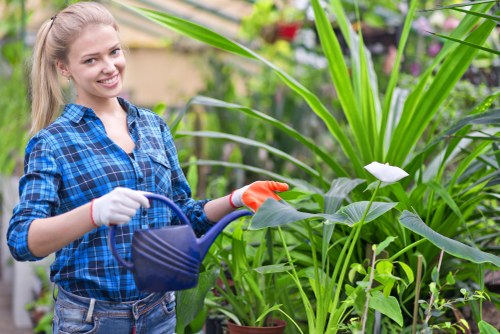 Gardener using safe work practices during outdoor maintenance