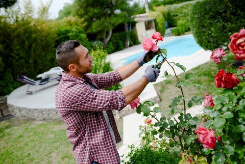 Soft landscaping in New Eltham featuring seasonal flowers and greenery