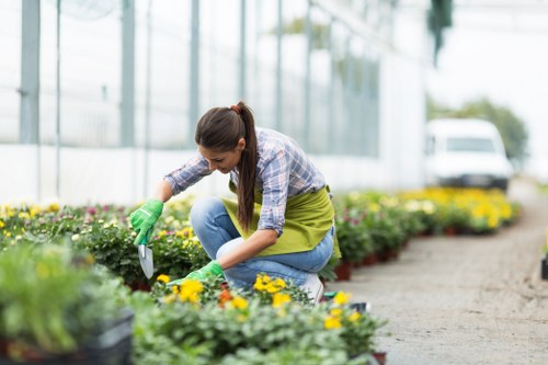 Accessible Gardeners New Eltham statement introduction image