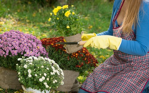 Free quote process for local gardening services in New Eltham