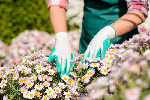 Final stage of a gardeners complaints procedure with clear outcome