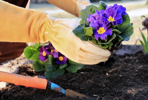 Gardeners New Eltham presenting a thoughtful and reliable outdoor care approach