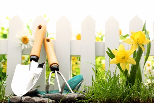 Healthy lawn care in New Eltham garden during the growing season