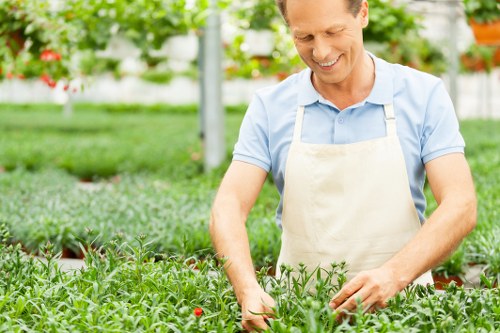 Decking services in New Eltham for stylish garden improvement