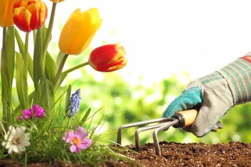 Modern garden fencing options for homes in New Eltham