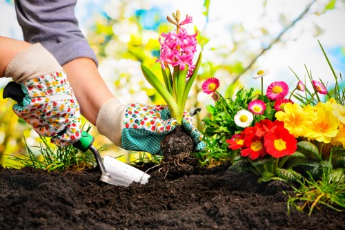 Inspecting grass condition and soil health for lawn care