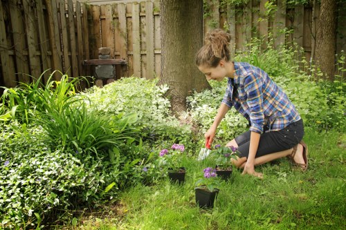 Safe tree removal service near homes in New Eltham