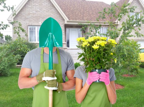 Professional garden waste removal and tidy-up in New Eltham