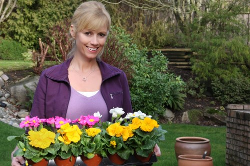 Recycling and reuse in a New Eltham garden service
