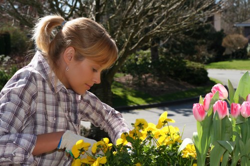 Keyboard navigation and accessible page structure for local gardeners