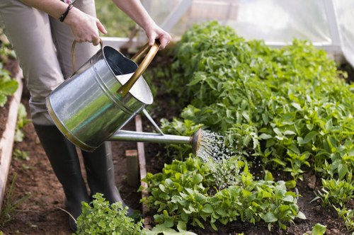 Healthy trees and landscaped garden maintained by tree surgery in New Eltham