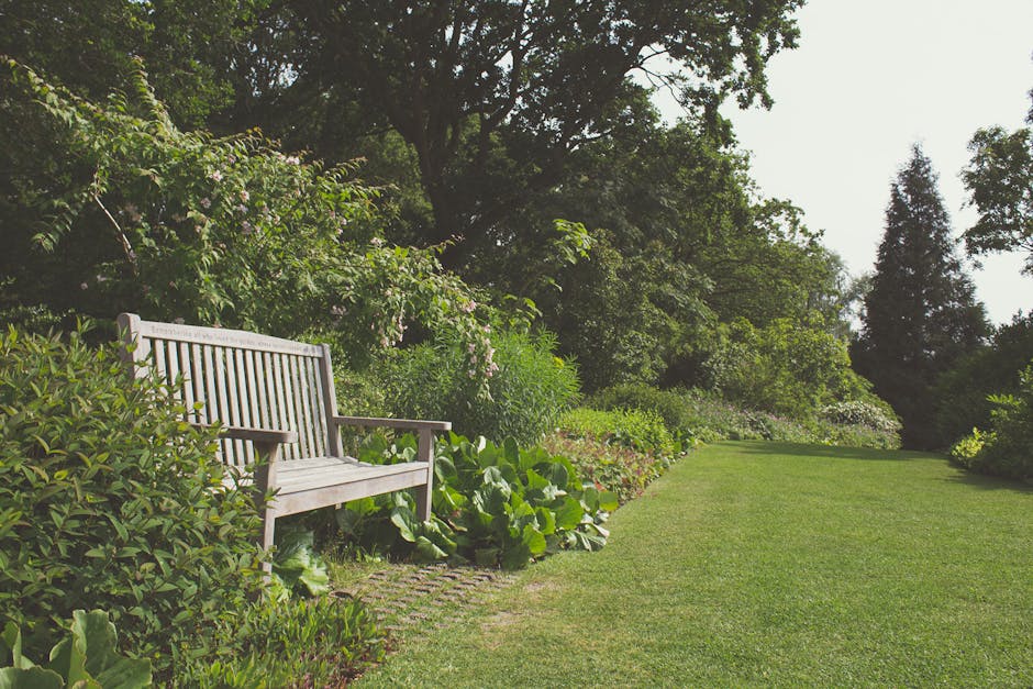 A person with blue jeans is using a pair of large pruning shears with yellow and green handles to trim a dense, low-growing hedge with small, bright green leaves. The garden setting features a neatly 