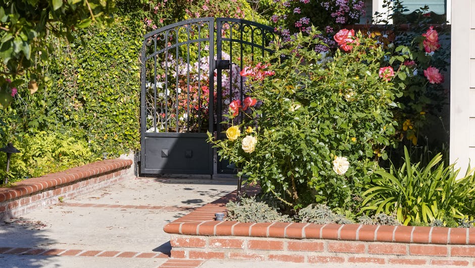 A paved front garden area featuring a black metal gate with vertical bars and a curved top, set in a brick border. To the right of the gate, there is a large pink and white rose bush with blooming flo