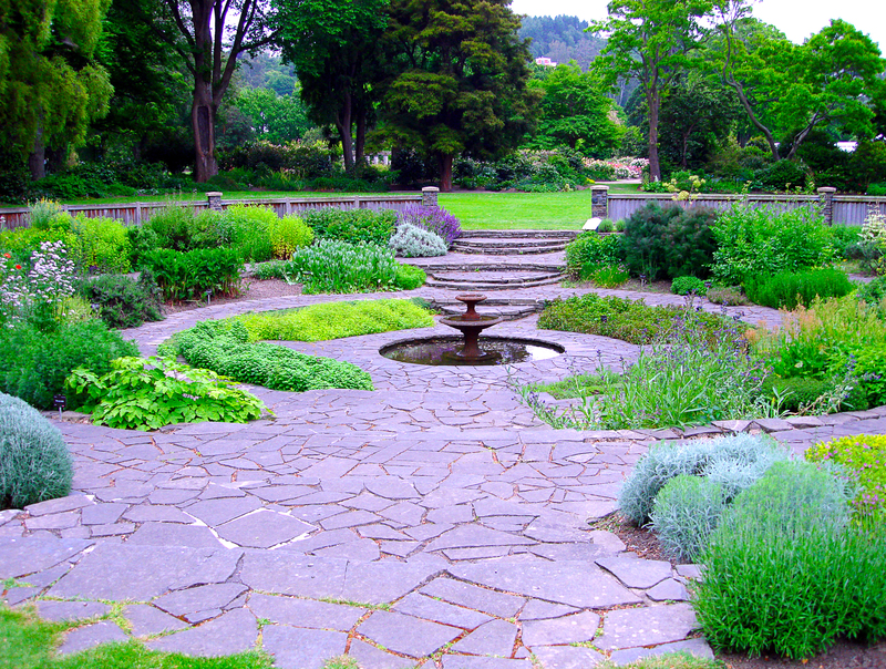 garden plants