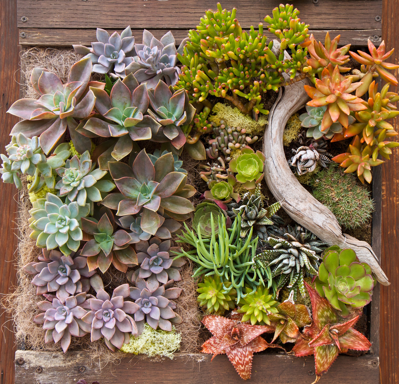 Garden maintenance garden